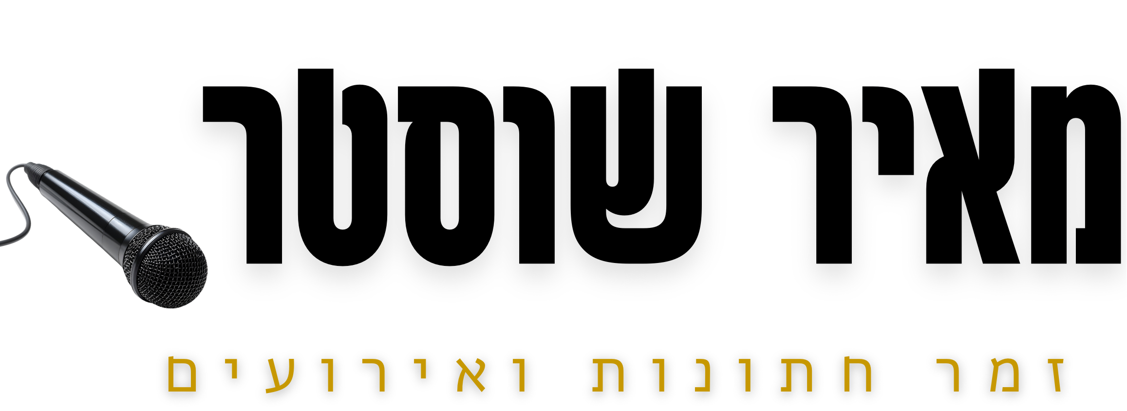 מאיר שוסטר - לוגו